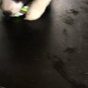 北海道問い合わせの画像