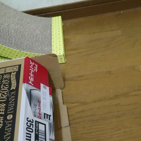 こっちか…☆の画像