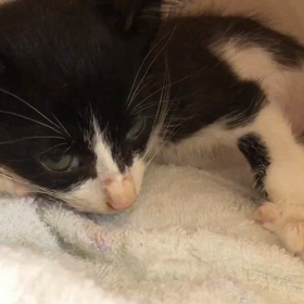 冬君の体調変化。の画像