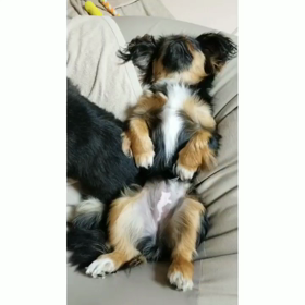 代奈の可愛い寝顔の画像