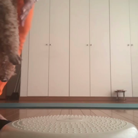 バランス ディスクの画像