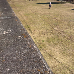 エドランの画像