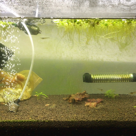 グフフな計画・活性編の画像