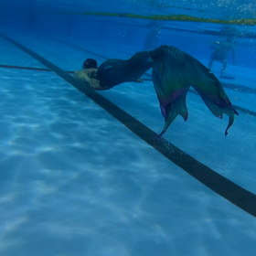 新月の日に…の画像