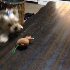 頑張ってますの画像