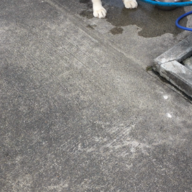 久しぶりに、メイちゃん wwwの画像