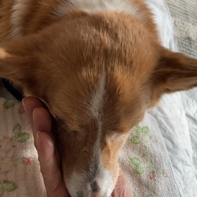 記録　　1月15日　　晴の画像