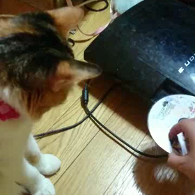 気になるね～の画像