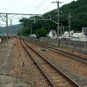 ニーナを見に行った！の画像