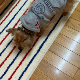 室内気まぐれお散歩⁈の画像