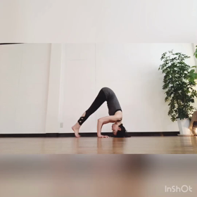 ヨガ記録の画像