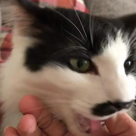 今日はもーちゃんとまったりの画像