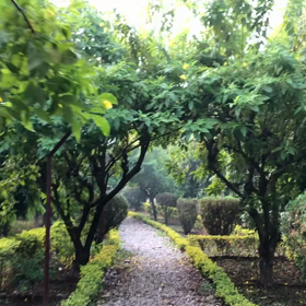 インド リシケシ修行㊼の画像