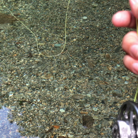 釣れなかったけど。の画像