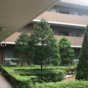 雨の出会いの画像