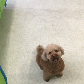 ♪プレイルーム動画♪②の画像