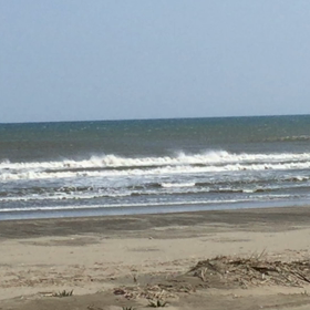 ご唱和下さいの画像