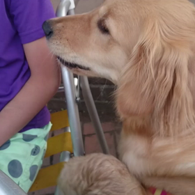 少しだけちょうだいの画像