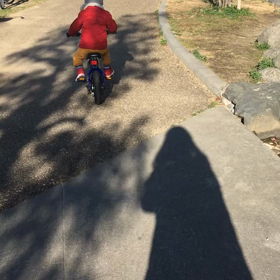 ★3歳10ヶ月★の画像