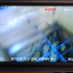 お帰りー蜂さんの画像