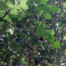 共感疲労からの解放の画像