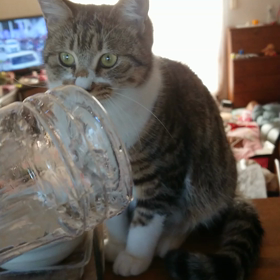 ひこちゃんと遊ぼうの画像