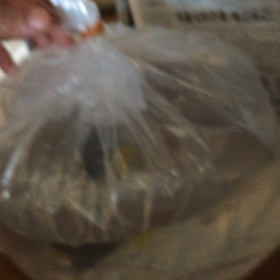 死体役のプロ？の画像