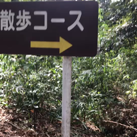 ♪お散歩動画♪砧公園♪の画像