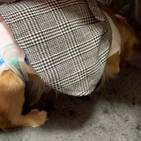 なぜかしら？なんなのかしら？の画像