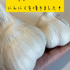 発酵食品を使って☆絶品バーニャカウダの画像