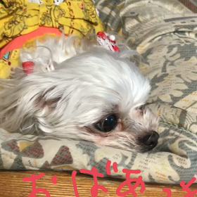 おばあちゃん大好き❤️の画像