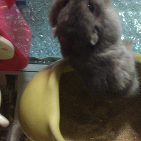 今日のあおさんの画像