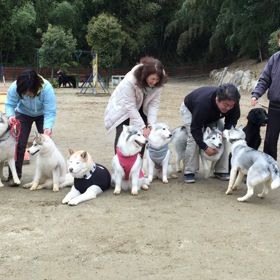 稲荷山で集合写真の画像