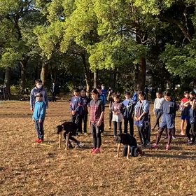 ダッシュ(その他グループ)①の画像