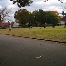 チャレンジカップ600m練習⑧の画像