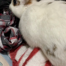 今日のまいまい★の画像