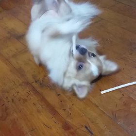 男は歯が命の画像