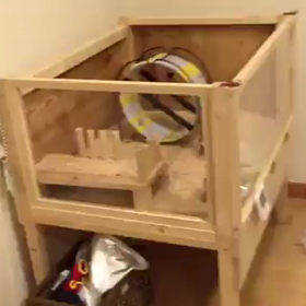 サイレントホイールの画像