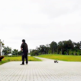 やっと晴れたのでの画像