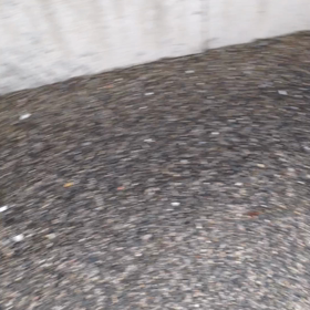 動くモーリ子ちゃん〜の画像