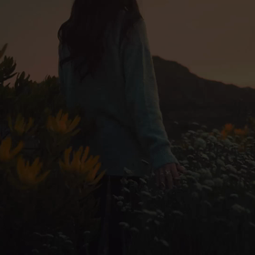 canva楽しい！の画像