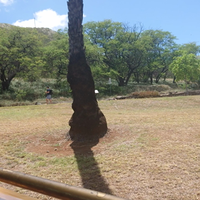 2019夏ハワイ⑧の画像