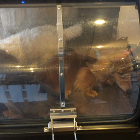 ⬛️5/17〜5/23＊酸素カプセルご利用のお友達⬛️の画像