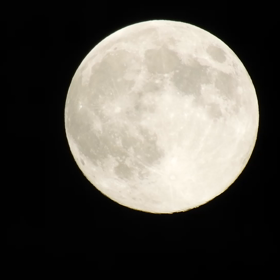 今夜は…の画像