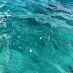 23期目　社員旅行沖縄3日目②の画像