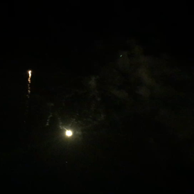 たまたまたまやー。。の画像