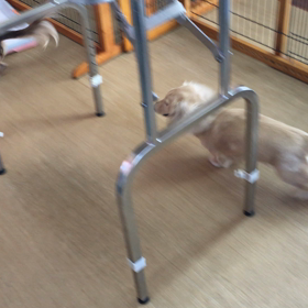 元旦ワンプロの画像