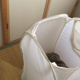 ジャンプインの画像