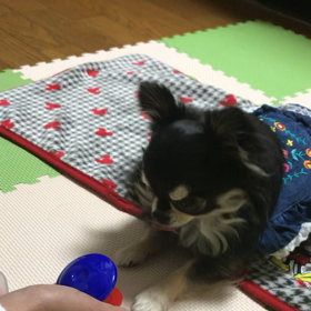 カスタネットの画像