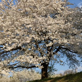 毎日忙しく仕事をしていたらの画像